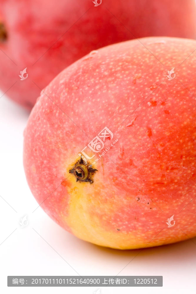 芒果-匯圖網(wǎng) www.fosd68.com 芒果