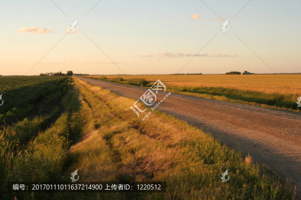 草原的路
