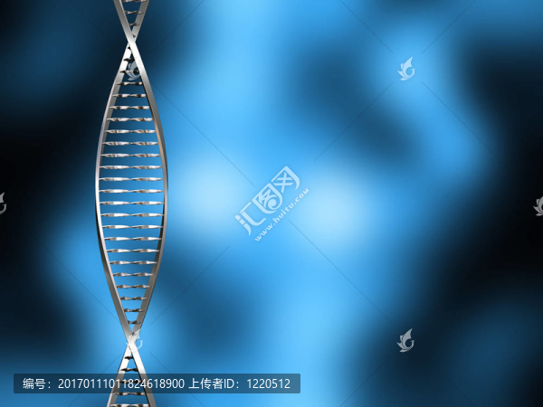 DNA的摘要