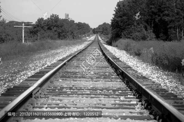 火車軌道在黑色和白色