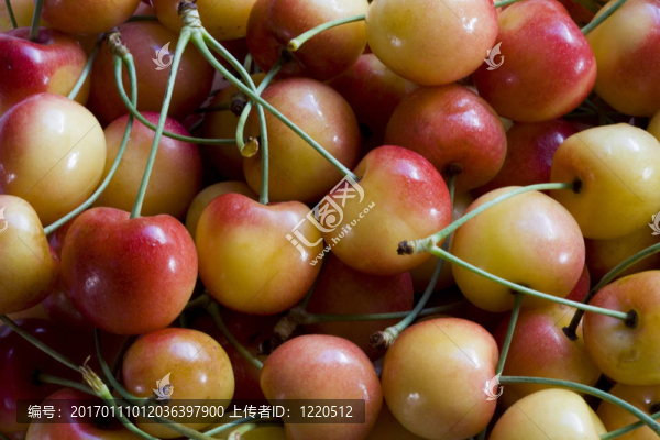 生活是一碗櫻桃
