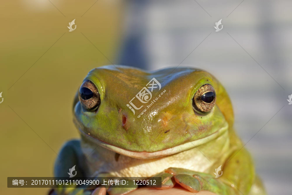 imgp6999-匯圖網(wǎng) www.fosd68.com imgp6999