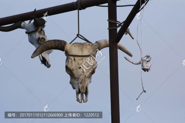 死牛