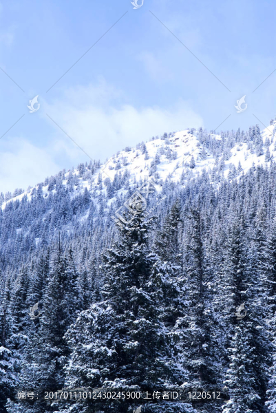 冬山
