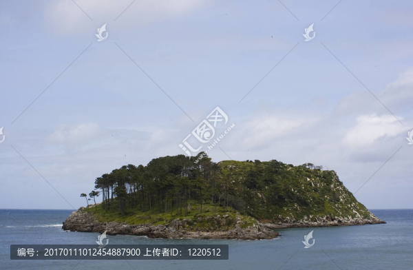 島