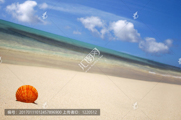 海灘