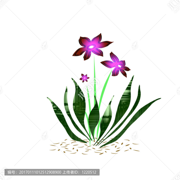 花了
