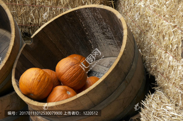 桶里的南瓜