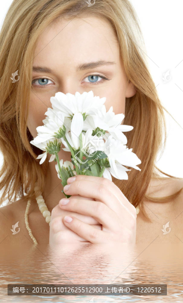 白菊花在水里