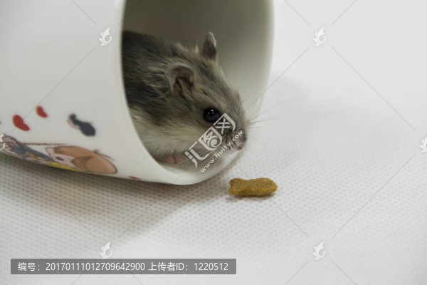鼠標(biāo)在杯