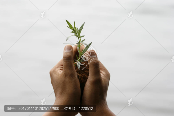 新的生活