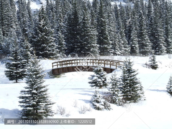 級聯(lián)的圣誕節(jié)