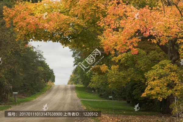秋天的小路