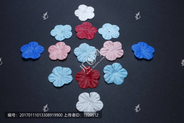 黑色背景上的彩色花瓣