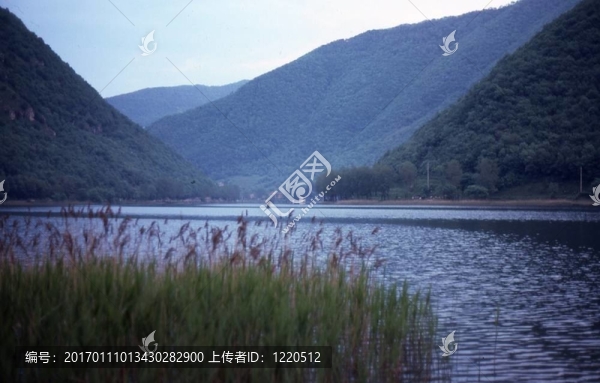 展開圖