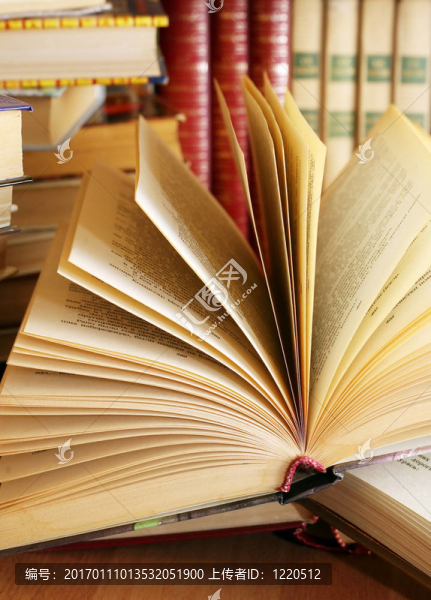 打開的書