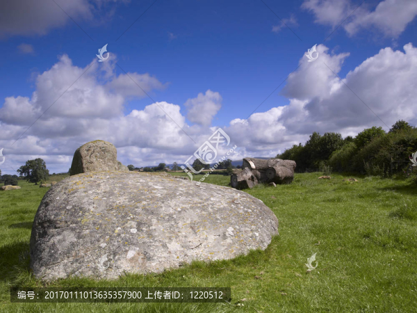 長(zhǎng)Meg的女兒-匯圖網(wǎng) www.fosd68.com 長(zhǎng)Meg的女兒