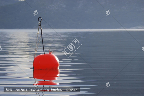 橙色的浮標