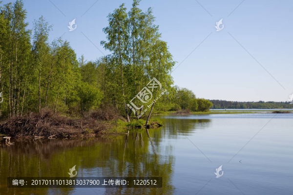 野生湖