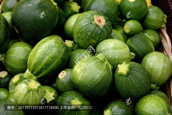 有機(jī)南瓜