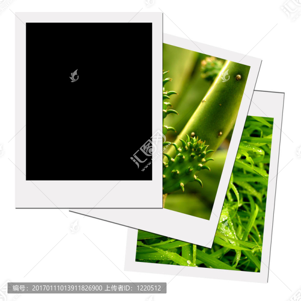 寶麗萊照片