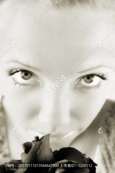 紅玫瑰-匯圖網(wǎng) www.fosd68.com 紅玫瑰