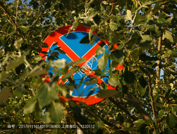 自然的力量-匯圖網(wǎng) www.fosd68.com 自然的力量