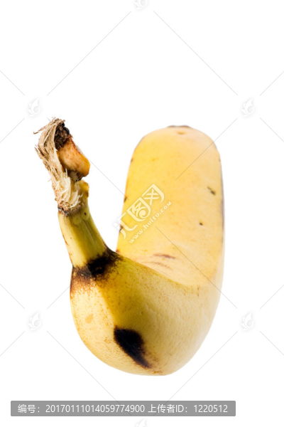 香蕉