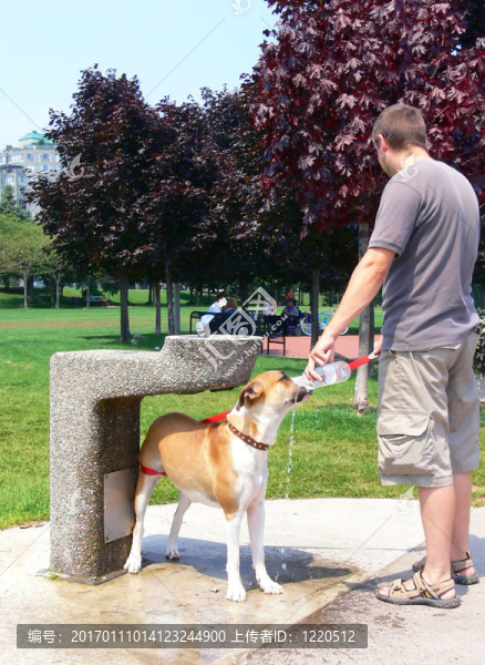 狗80335人-匯圖網(wǎng) www.fosd68.com 狗80335人