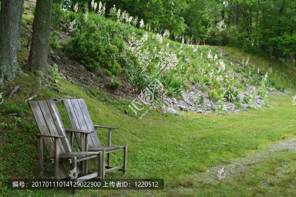 兩把椅子