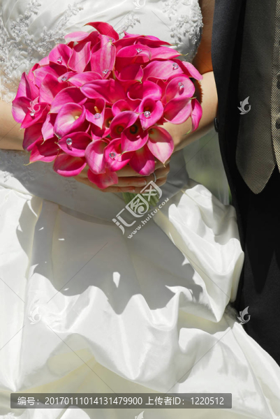 婚禮的夫婦