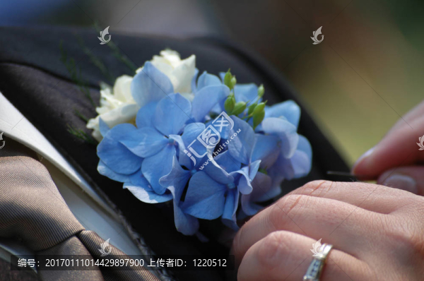 boutoniere-匯圖網(wǎng) www.fosd68.com boutoniere