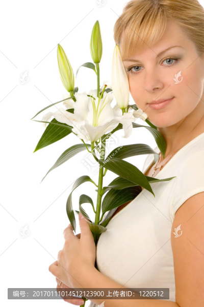 女人與madonna,lily