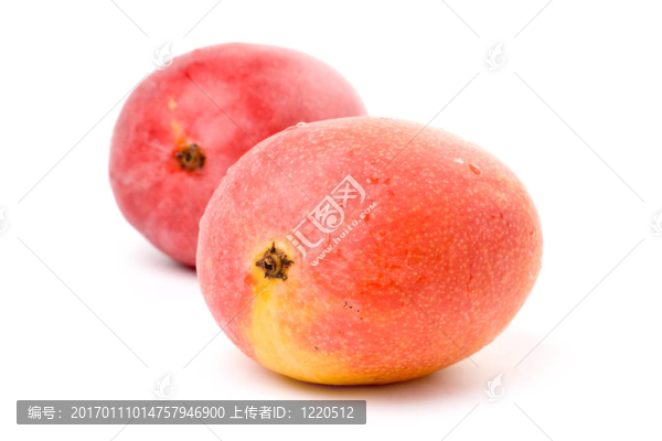 芒果