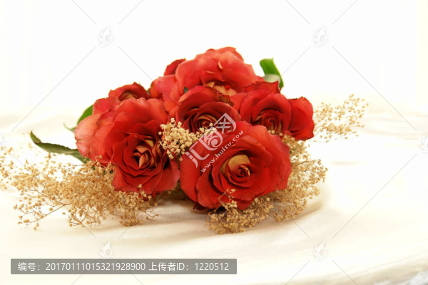 玫瑰白