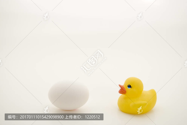 小鴨和雞蛋