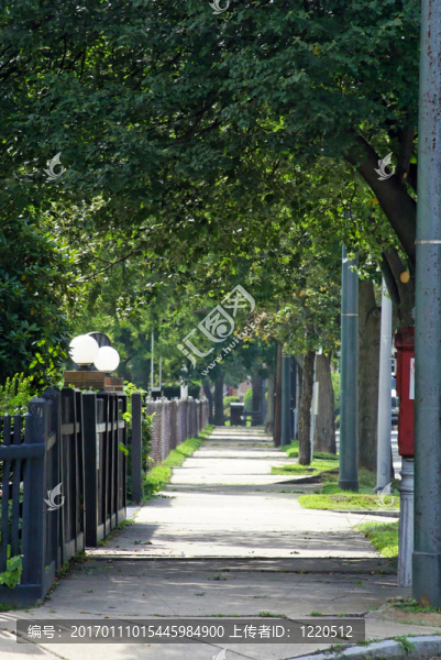 綠樹(shù)成蔭的郊區(qū)