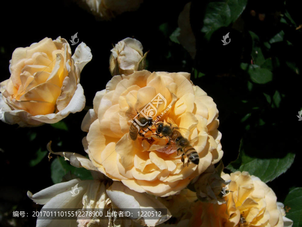 忙碌的人-匯圖網(wǎng) www.fosd68.com 忙碌的人