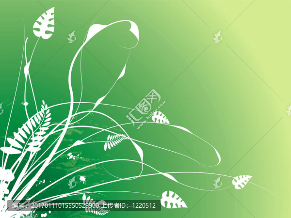 花的行程