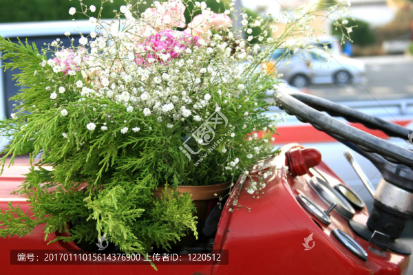 浪漫的車