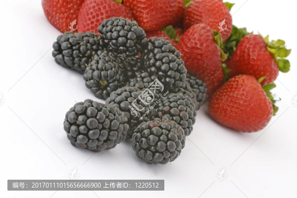 黑莓