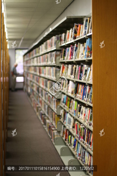 在圖書館的書架