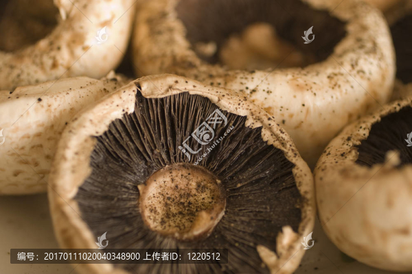 蘑菇