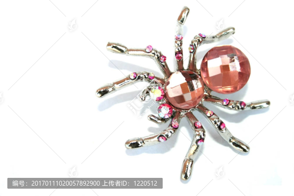 蜘蛛