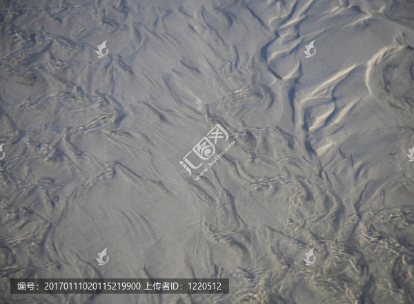 海水沙
