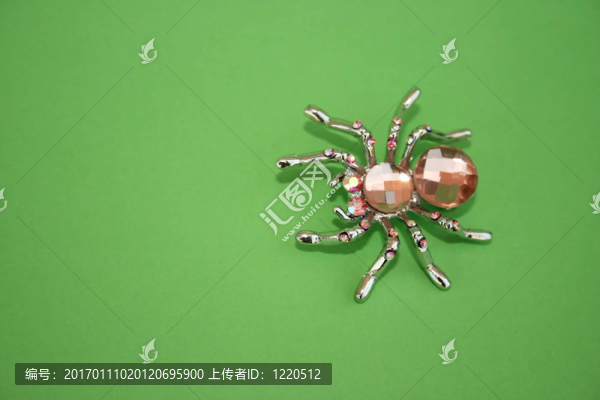 蜘蛛