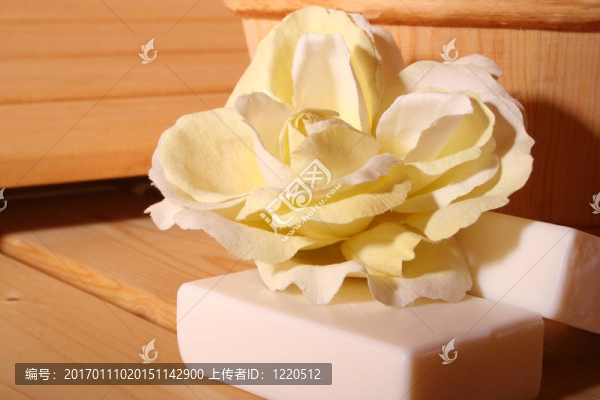 桑拿V