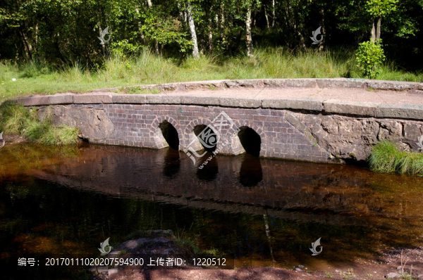 石橋-匯圖網(wǎng) www.fosd68.com 石橋
