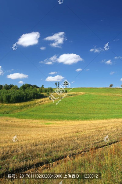 田園詩(shī)般的夏日風(fēng)光-匯圖網(wǎng) www.fosd68.com 田園詩(shī)般的夏日風(fēng)光