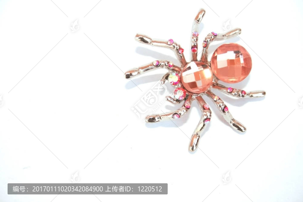 蜘蛛